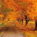 인정덕치 이미지