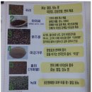 경중쌀집 네이버블로그