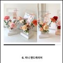 도토리플
