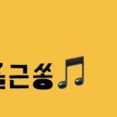 내일도조이풀