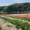 도담정원 이미지