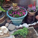 강서해수온천 이미지