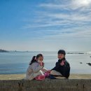 구룡포침구 이미지