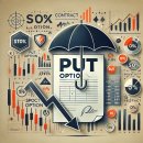 옵션(OPTION) 이미지