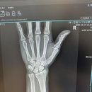 경산제통의원 이미지