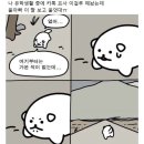 쌍교양념뼈구이