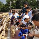 애니멀스쿨 이미지