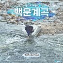 광덕계곡관광지 | 주말 포천 백운계곡 흥룡사 절 여행