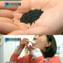 (주) 생각의 씨앗