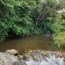 새막골 캠프 이미지