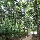 문화공간 가꾸기 이미지