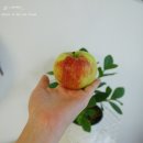 와룡농원 이미지