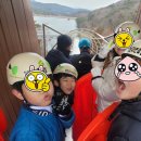 곰열쇠 | 곰썰매가 유명한 전남 보성 제암산자연휴양림 (3월여행..곰썰매 후기.예약방법)