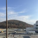 인형랜드 (청-141호) | 2025 에버랜드 서킷런 후기