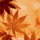 아리랑 행정사 사무소 이미지