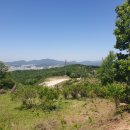 연안부부인전씨묘 이미지