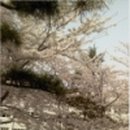 부산외국어고 이미지