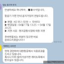 [두바이여행] 240417 두바이 폭우로 인한 여행 취소 후기 :: 항공편 결항 시 대응 방법, 면세품 반품...