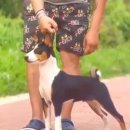 오픈주 하남스타필드점 이미지