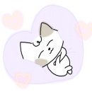 메르드로브 이미지