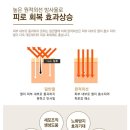 편백나무 쉼