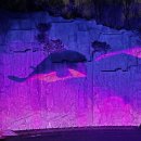 우리동네 D.C마트 이미지