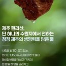 3공단3로2L-13 | 제주 삼다수 그린 무라벨, 2L, 12개, 24개 최저가 구매 사이트 총정리