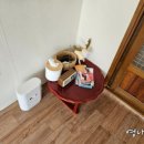 몽실민박 이미지