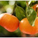 셀린의원 광명점 이미지