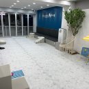 체리쉬독 이미지