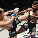 코리아타이거체육관 이미지