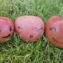 내고향집밥 이미지