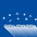 피엔웰빙
