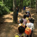 솔무공원 이미지