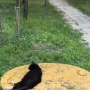 동규목장 이미지