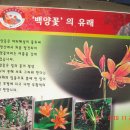 담양나드리 이미지