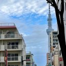 유한회사 스카이리더스투어 | 일본 도쿄 여행 준비물 리스트 1월 2월 날씨 후기