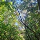 대공원나들길 이미지