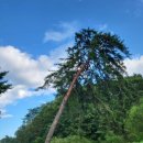 올데이 옥스필드 이미지