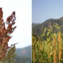 보가산성지 이미지