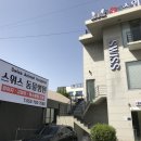 스위스동물병원 이미지