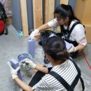 꿈꾸는 작은도서관 (꿈꾸는 다락방) 이미지