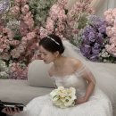 수원 노블레스웨딩컨벤션 본식 후기 예약 팁 및 견적 공유