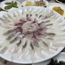 정자횟집 티스토리