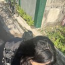 [2025년 상반기]새싹 기초 영어 | 다사다난했던 2025년 - 퇴사, 최종탈락, 최종합격