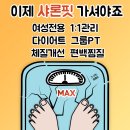 샤론핏