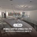 시립미술관 | 현대미술 유명미술작품 울산시립미술관 전시회 후기