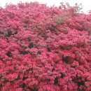 성어공원 이미지