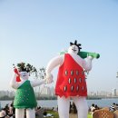 도깨비한의원 이미지