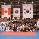 월드 합기도 이미지